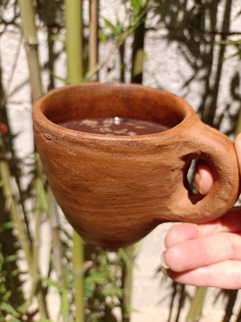 Cacao Especiado