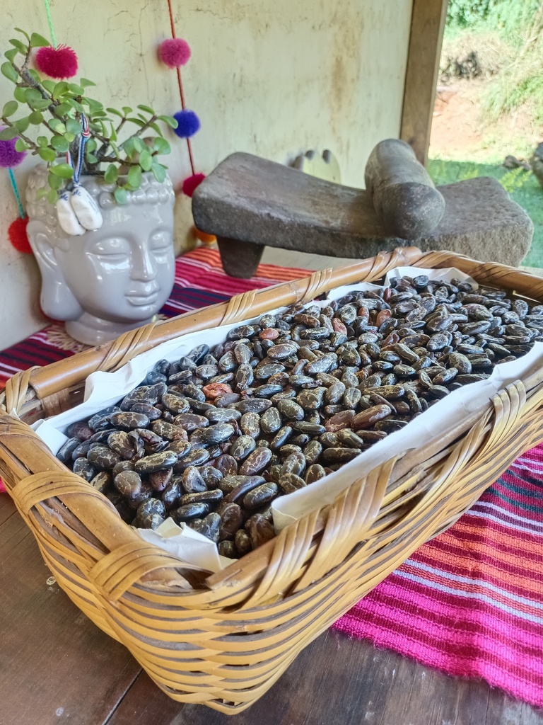 cacao en oro 