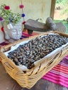 cacao en oro 