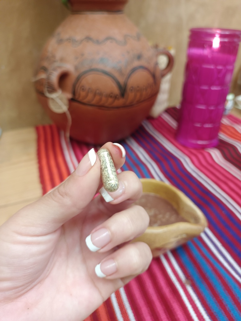 Kit de 1 mes Micro Dosis de Psilocibina con Cacao y Hongos Adaptógenos
