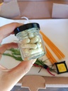 Kit de 1 mes Micro Dosis de Psilocibina con Cacao y Hongos Adaptógenos