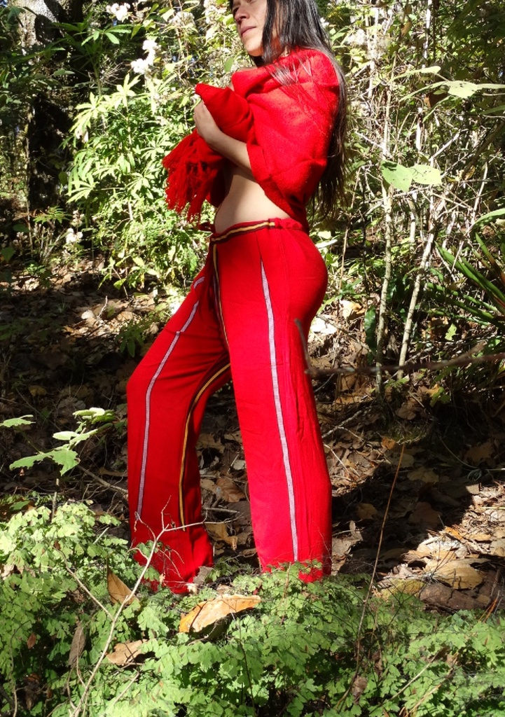 Pantalones de Santa Martha
