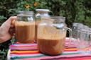 Cafe Organico Chiapas
