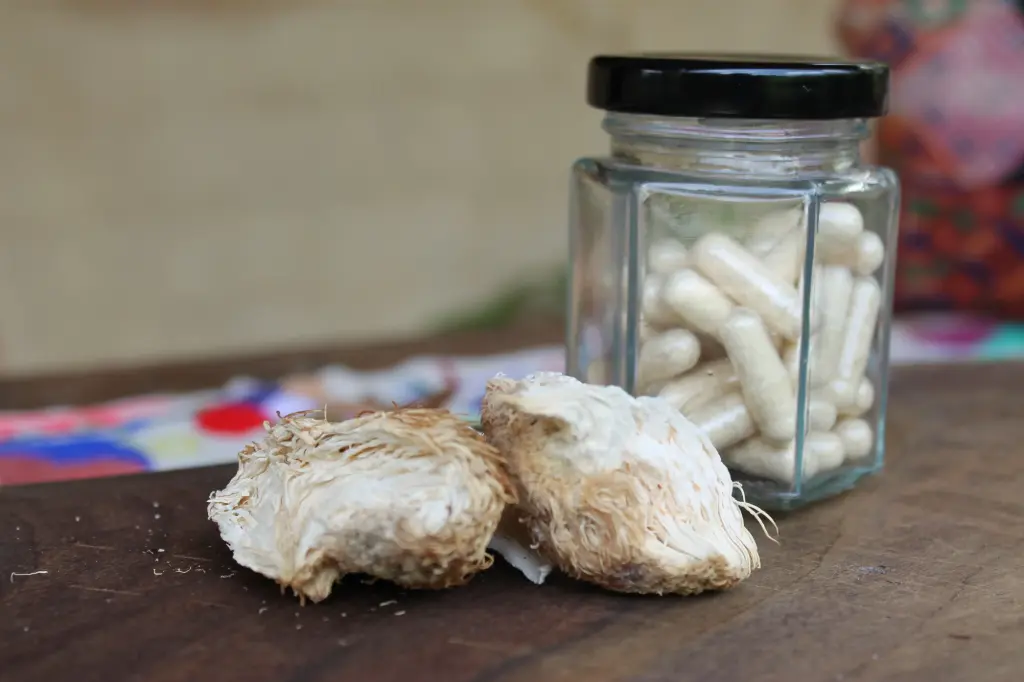 Melena de León – Suplemento Alimenticio (30 Cápsulas de 1000 mg)