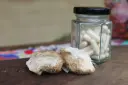 Melena de León – Suplemento Alimenticio (30 Cápsulas de 1000 mg)