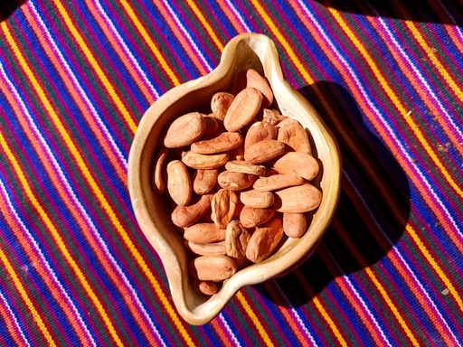 Semilla de cacao