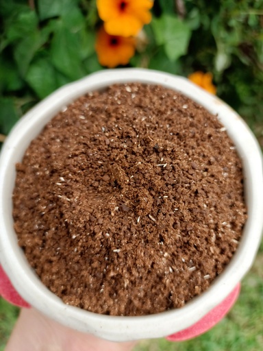 Café organico Chiapas molido Fino (copia)